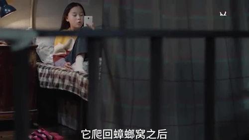 瓜姐最新爆料秘密视频在线观看,最新秘密视频在线观看，带你一探究竟！